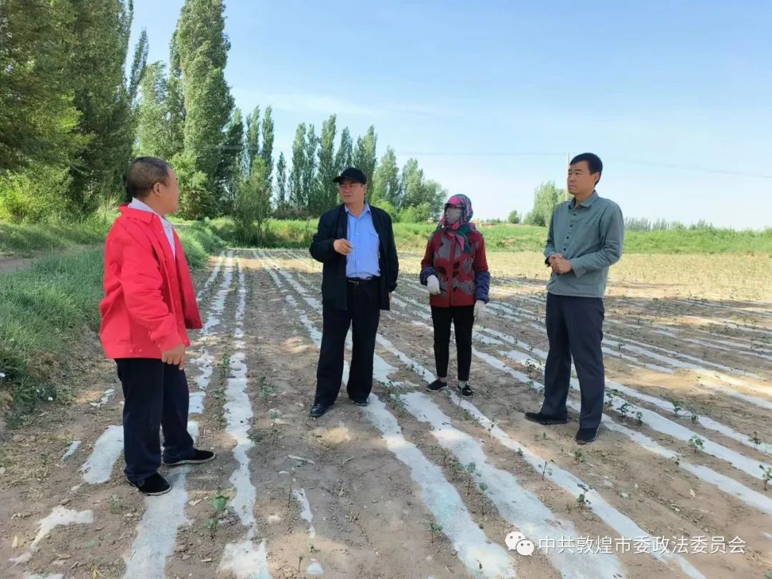 【主动创稳】敦煌：主动创稳夯基石“三抓三促”显效能