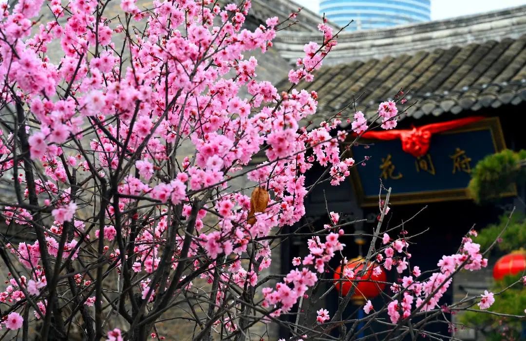 徐州春游野餐的好地方推荐,徐州最新春游推荐