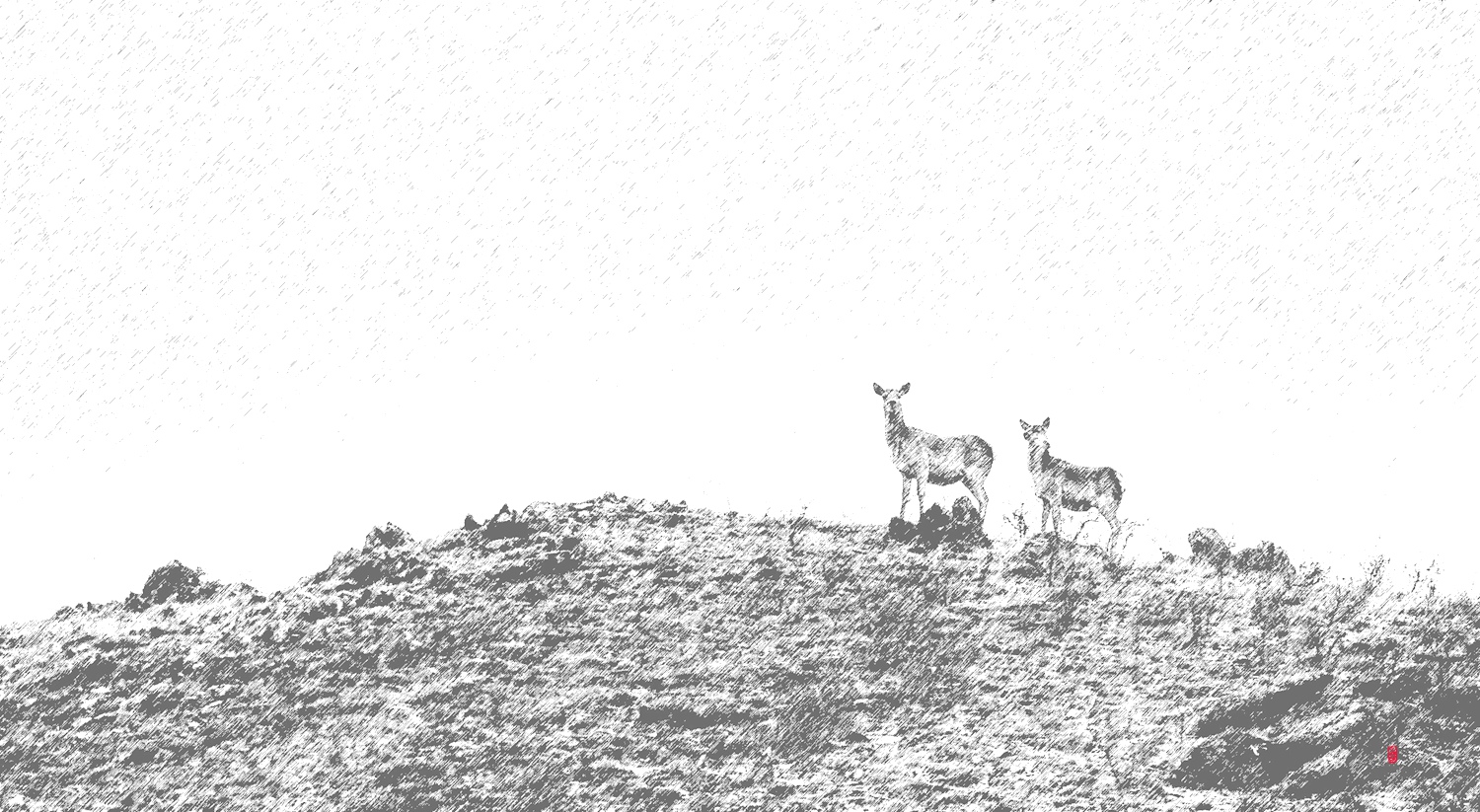 摄影初学者的4个错误,初学摄影要恶补的10个基础知识