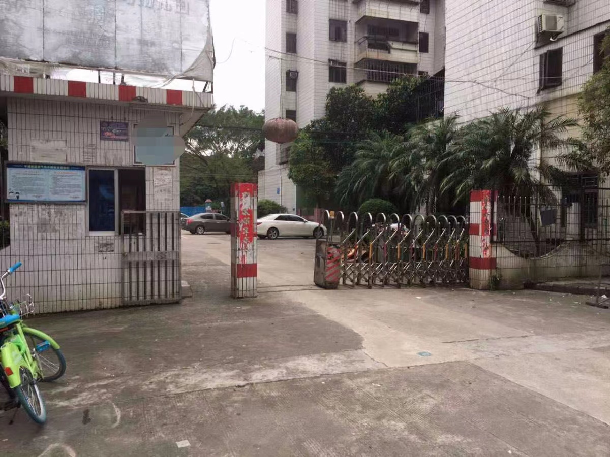 我在农村能干什么挣钱,内地做干果生意一年挣多少钱