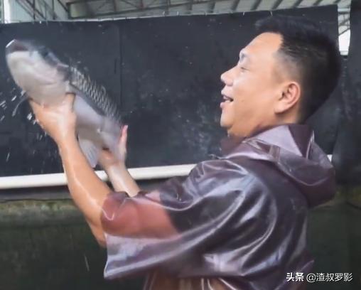 银行副行长辞职赚钱,中国银行副行长辞职