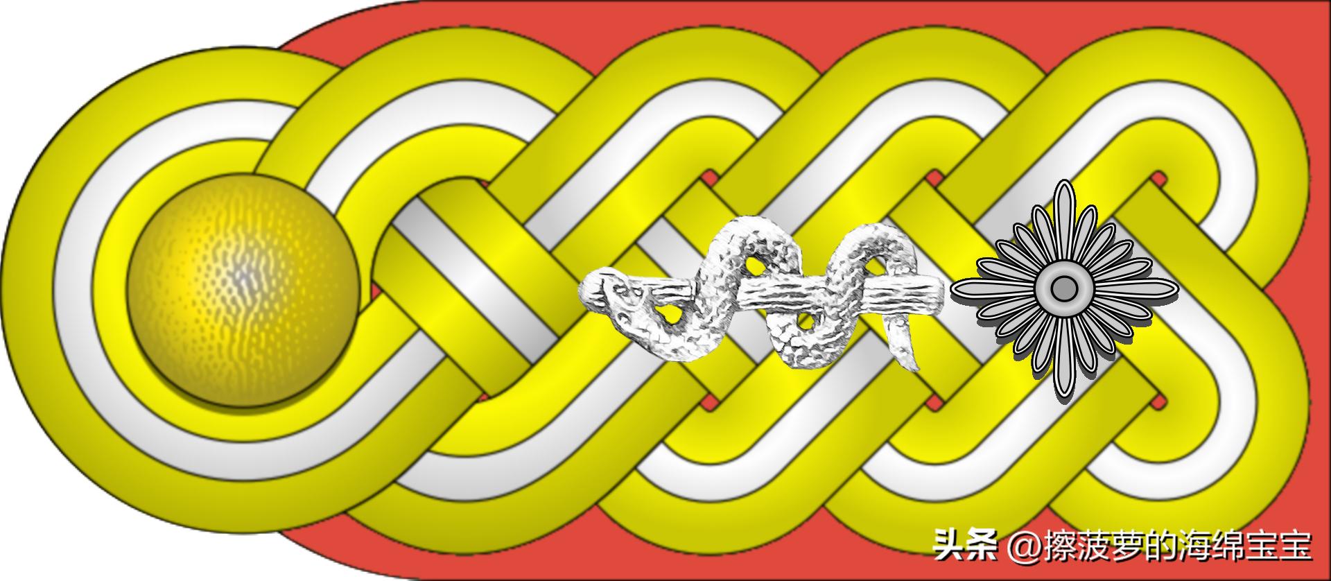 二战德国国防军医疗兵军衔标志