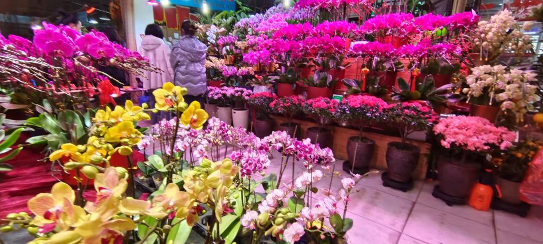 秦皇岛海滨城市生活,体验一下秦皇岛的风土人情