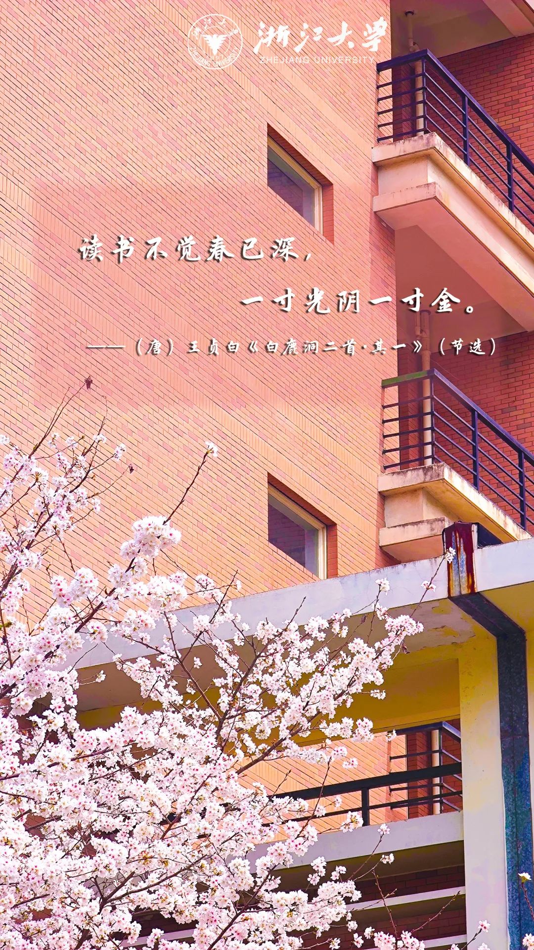 浙江大学中国最美校园,浙江大学玉泉校区校园