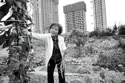 华山日月岩一家四口跳崖,一家四口华山