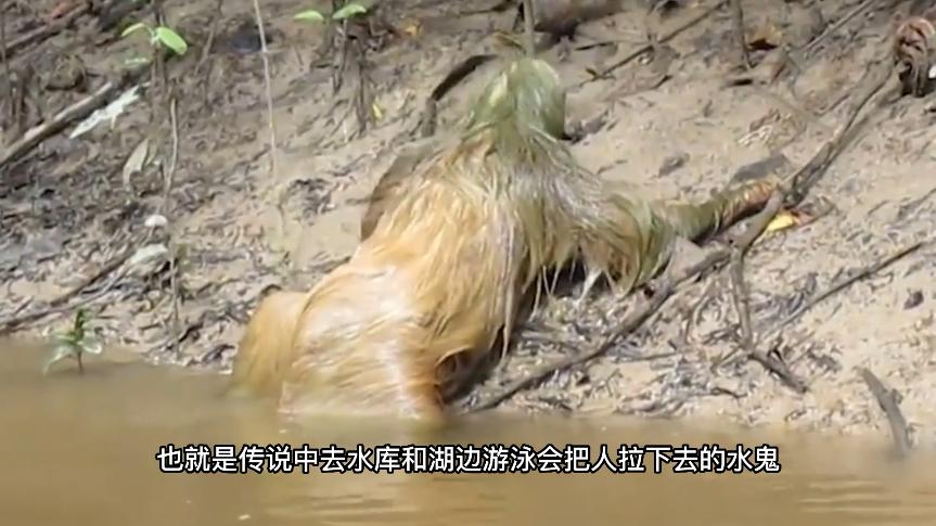 无穷小亮科普账号,无穷小亮推荐的科普博主