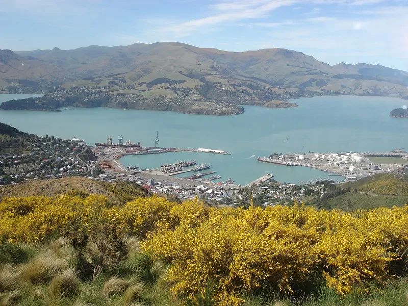 优优在新西兰：职高毕业，生两个小孩，打两份工，拿三个学位