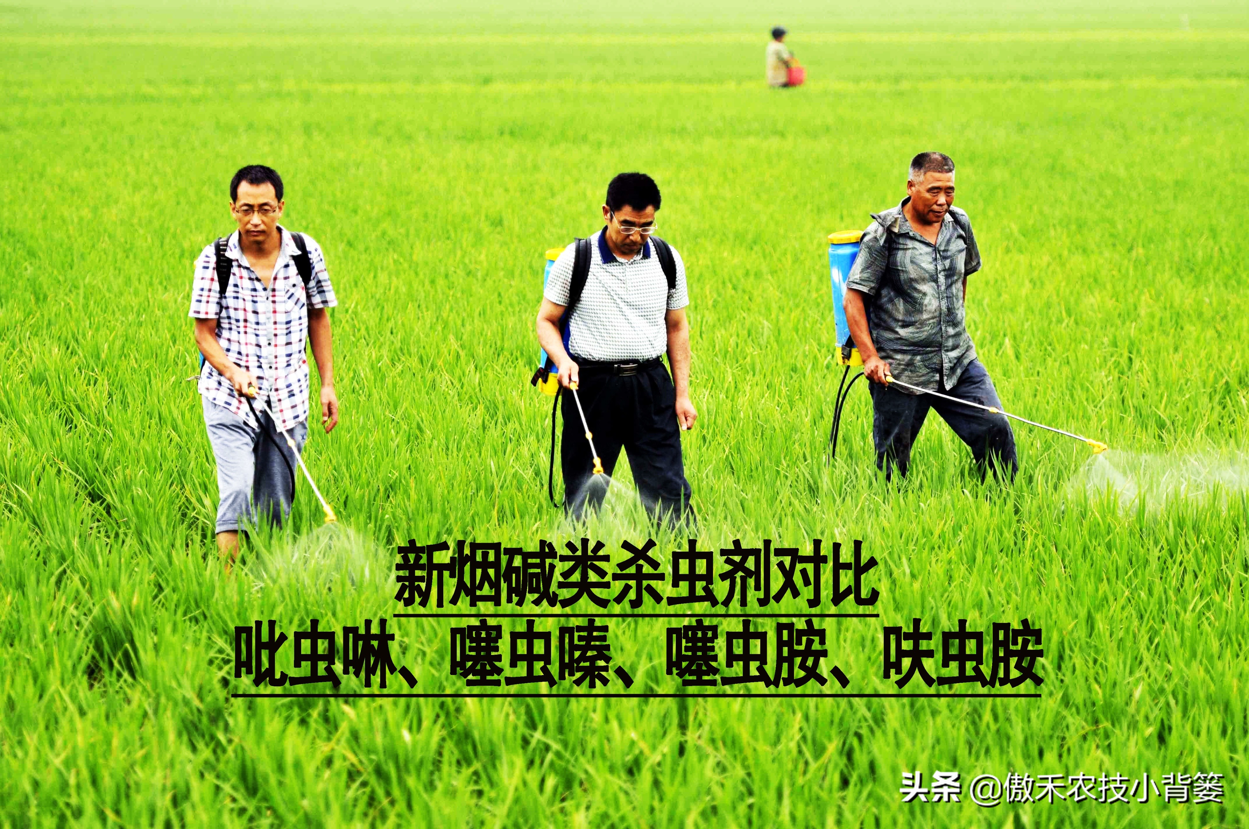 杀虫剂吡虫啉好还是啶虫脒好,杀虫剂吡虫啉的特性及使用方法