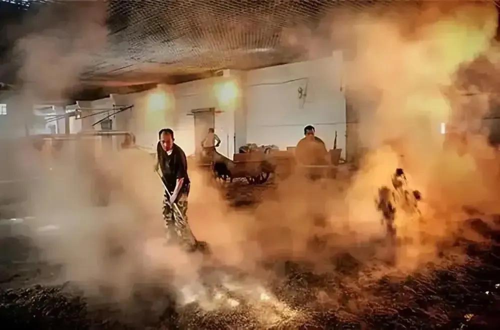 香港97回归纪念票现在价格,97香港回归纪念金表价格