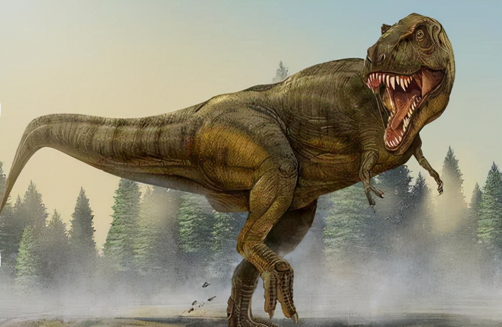 鸡的祖先是霸王龙？它为何每天都下蛋，细数鸡身上的“恐龙基因”