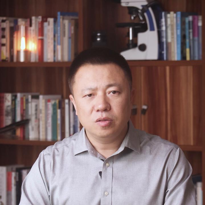 投影幕的选择,投影幕布入幕如何调试