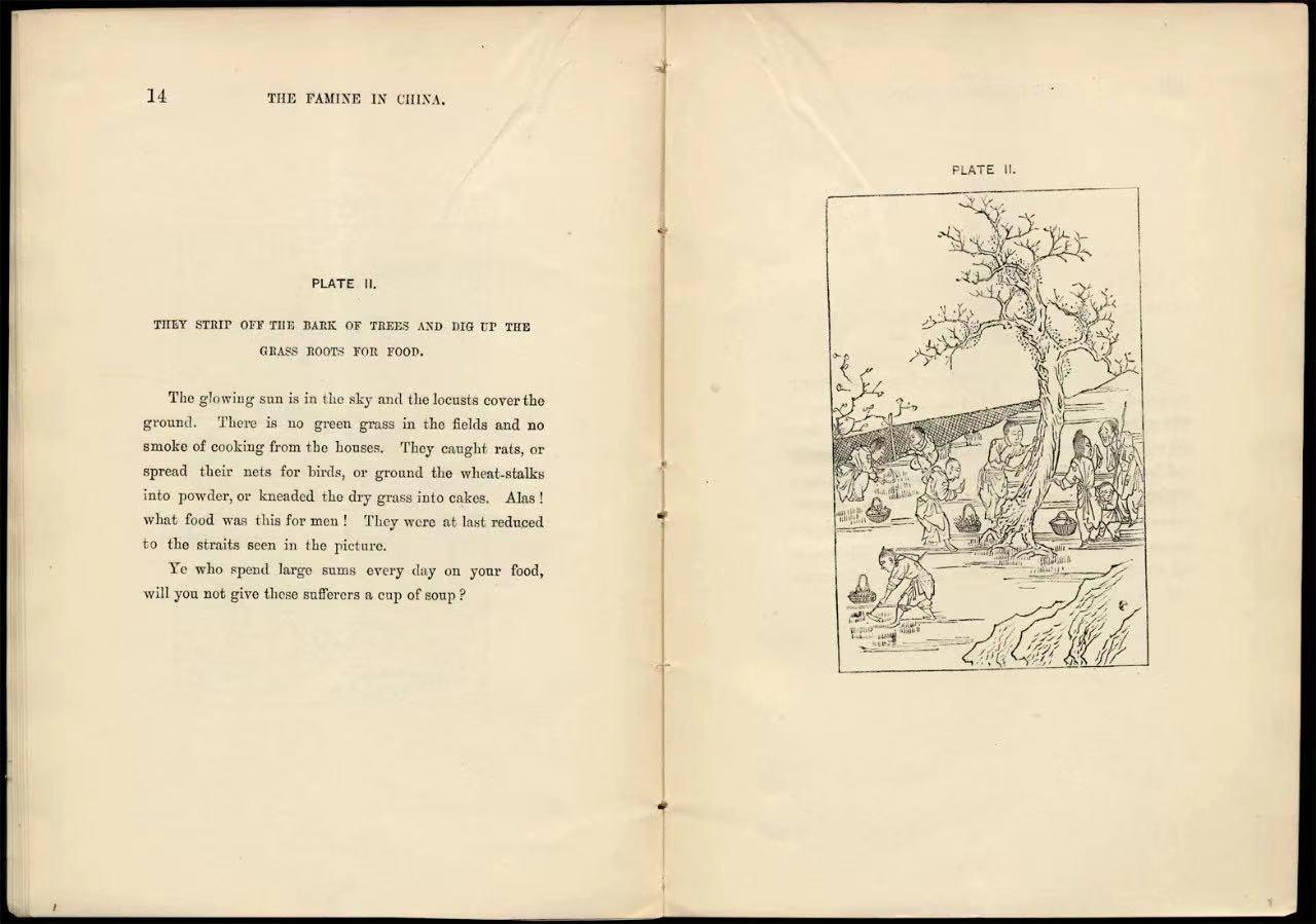 东亚近代史（八）1860-1877:“小分流”?