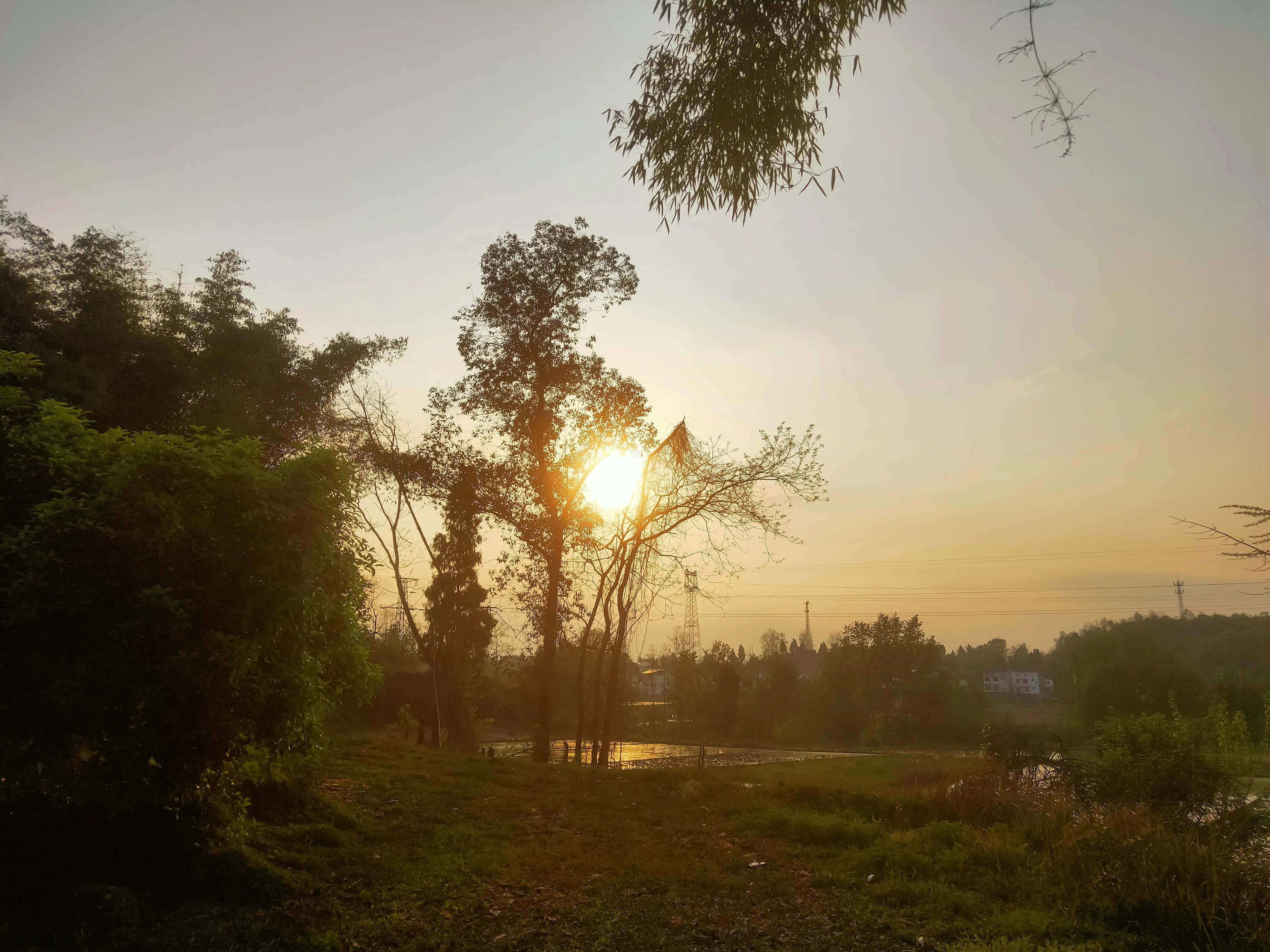 被碰瓷事件,被碰瓷实录