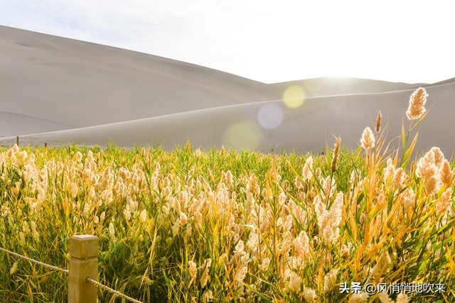 不忘初心方得始终原文,不忘初心方得始终出处