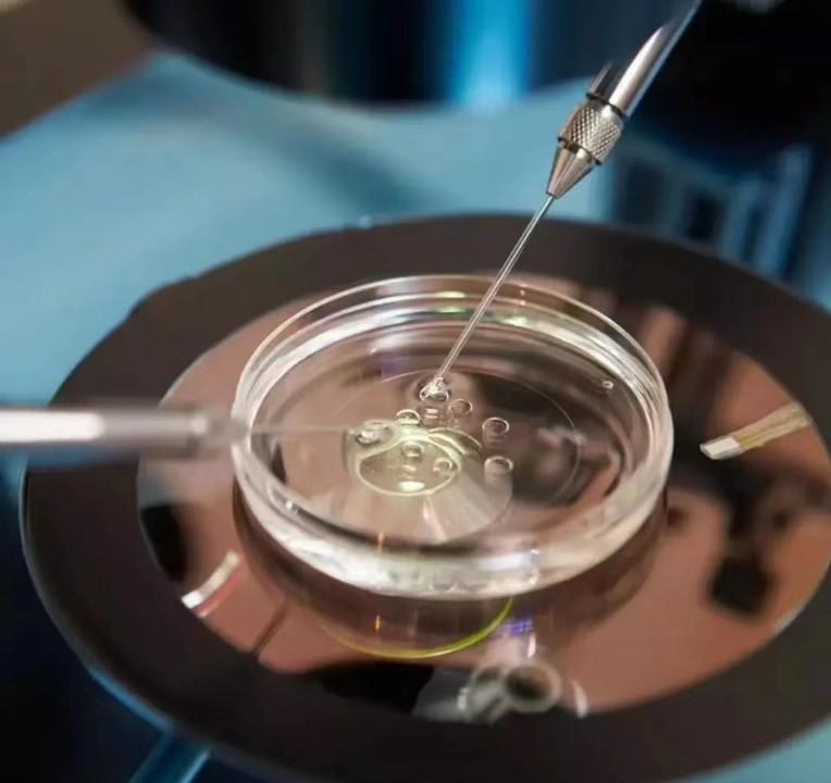 莫顿作为美国知名医生,他的一生有哪些历史事迹?