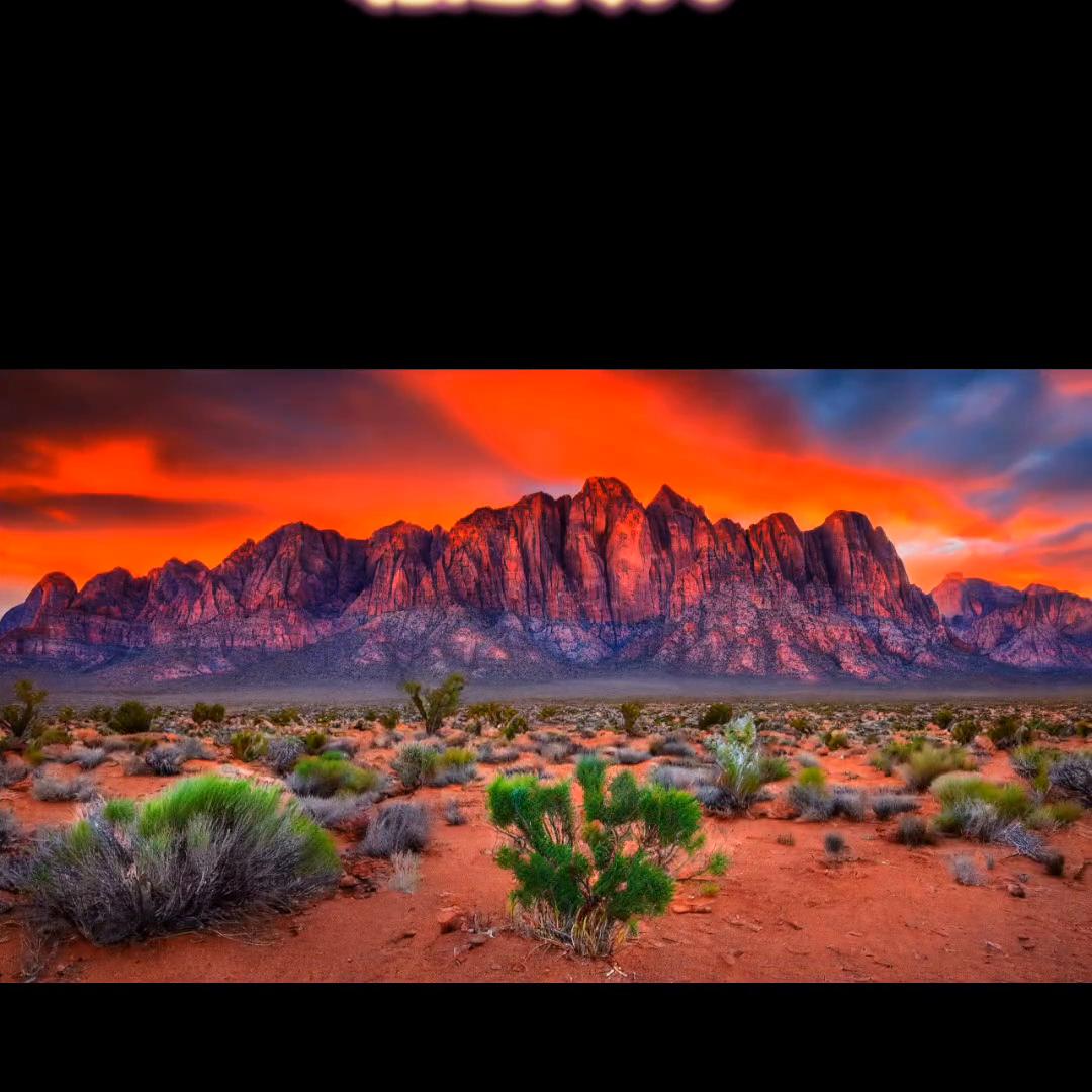 诡道传人简介,诡道传人免费阅读