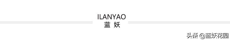 为什么我买的盆栽花总是养不活,为什么买来的花绿植总是养不好