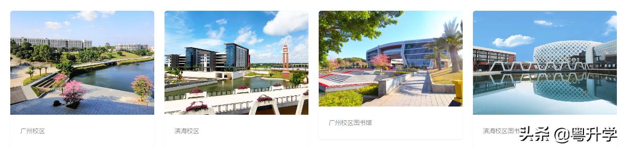 广州科技职业技术大学野鸡大学,广州科技职业技术大学就业怎么样