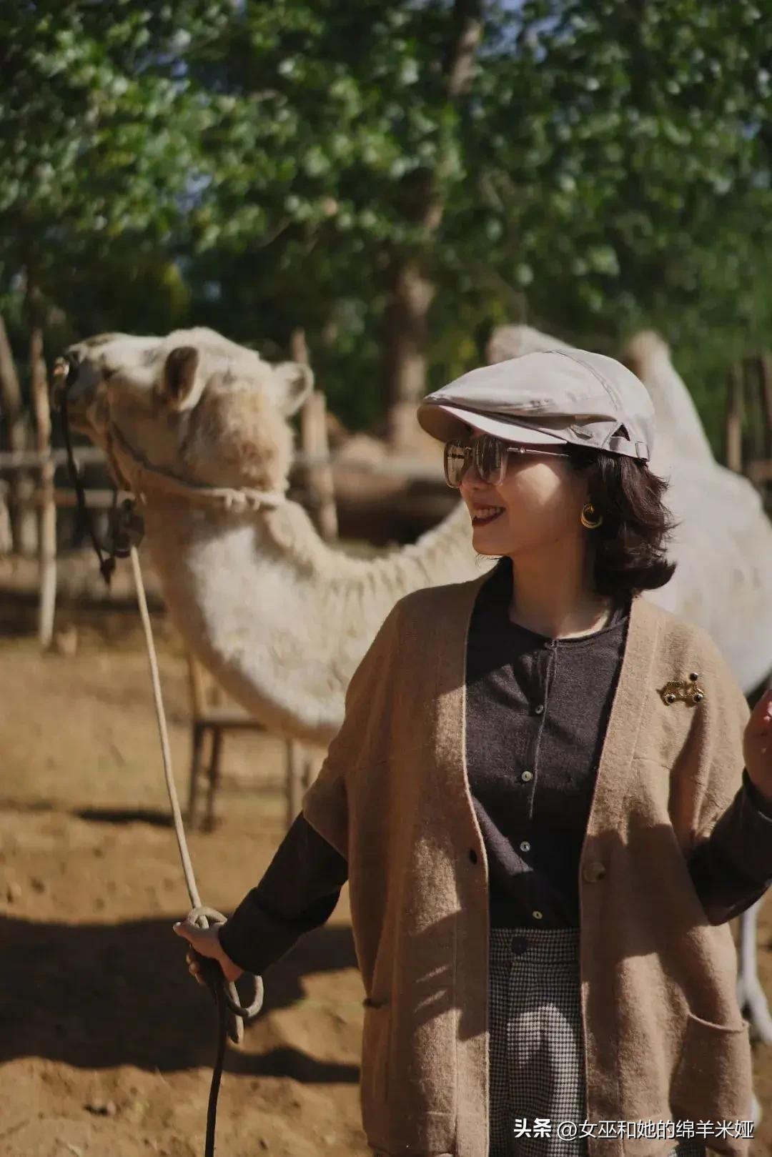 探索中卫／不止是旅行，也是生活