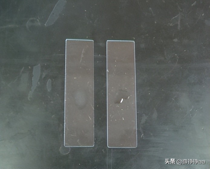 番茄青枯病害鉴别,分离番茄茎腐病真菌的方法