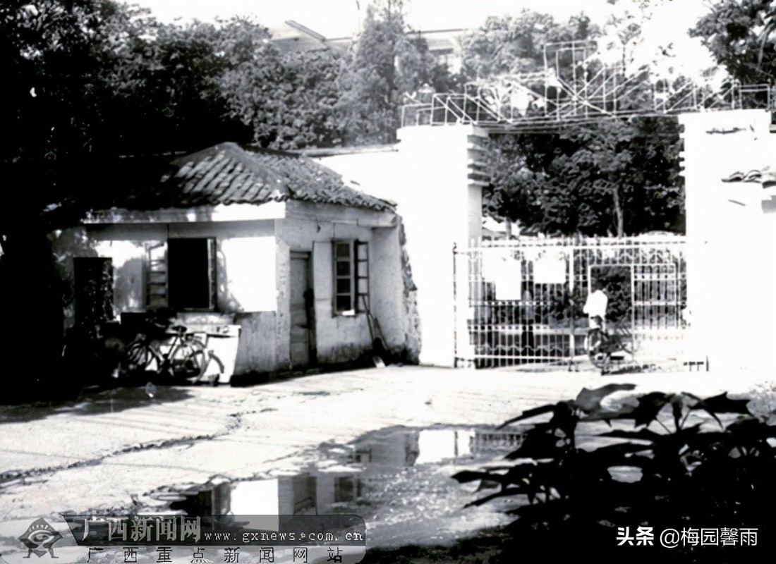 我的小风水师,我的小弟解析