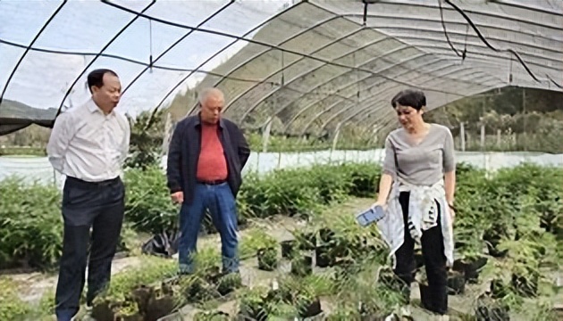 利用林业资源带动经济发展的举措,利用与发展