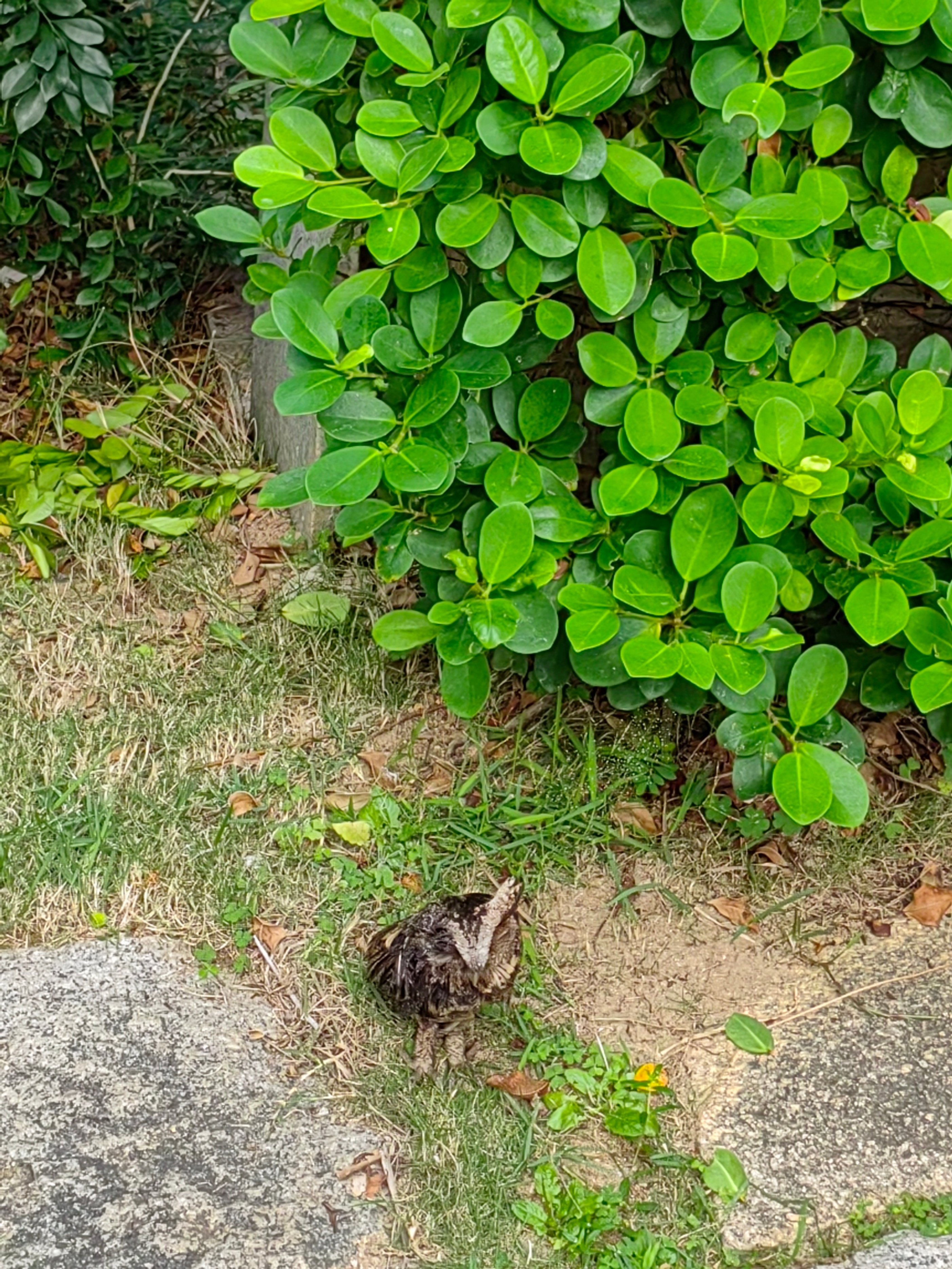 海南自驾环岛游攻略三亚出发,成都自驾海南环岛攻略路线