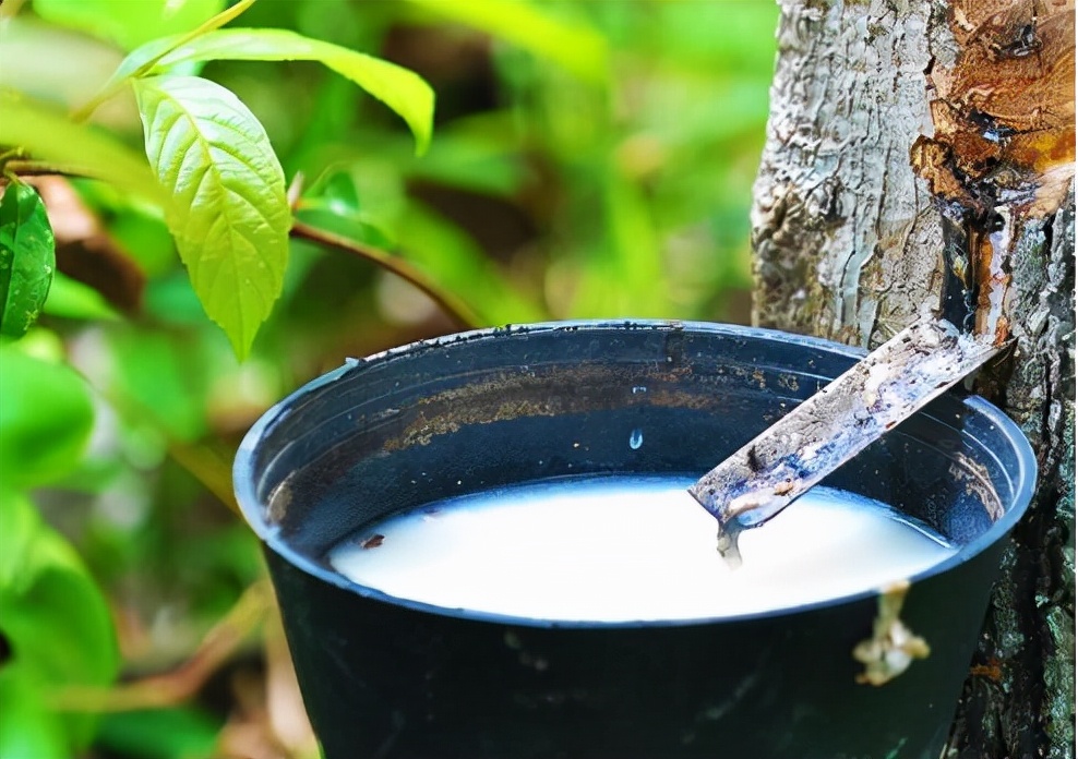 成本大涨同行售价不涨,现在轮胎价格涨了多少