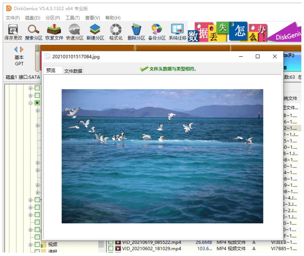 数据恢复先恢复的是什么,数据恢复一天恢复多少g