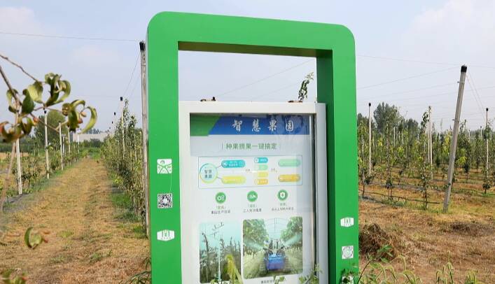 郓城张营塌陷区域有多大,山东郓城采煤塌陷地变身聚宝盆