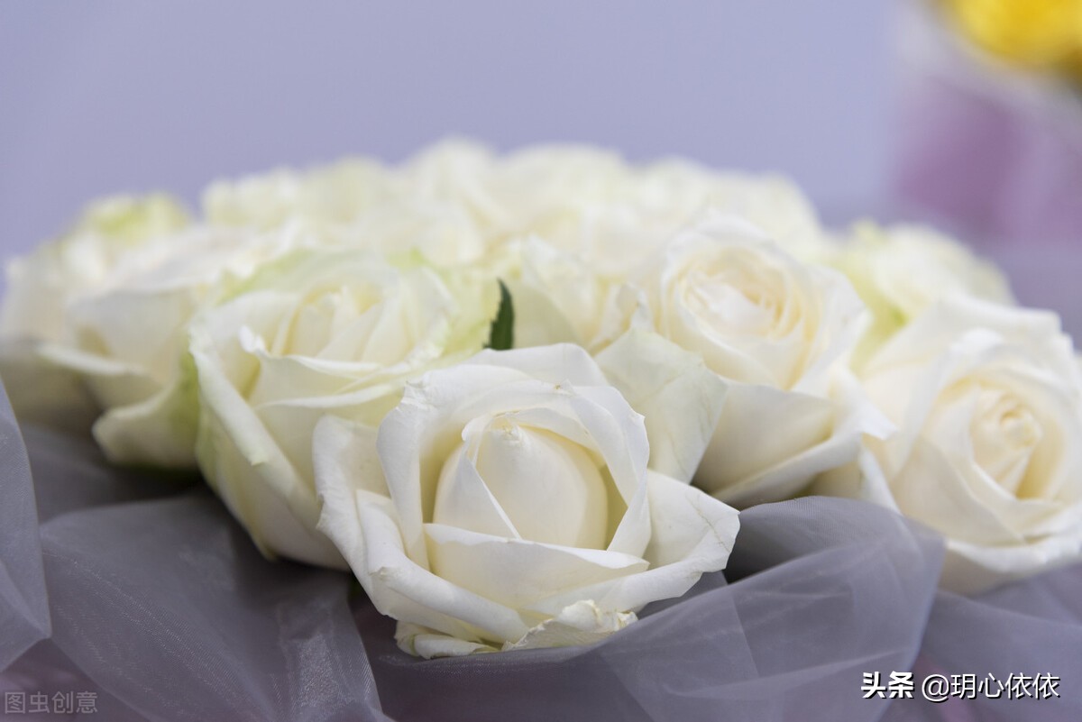 这些星座把自己活成财神爷，内心强大能力出众，心如真金光耀众生