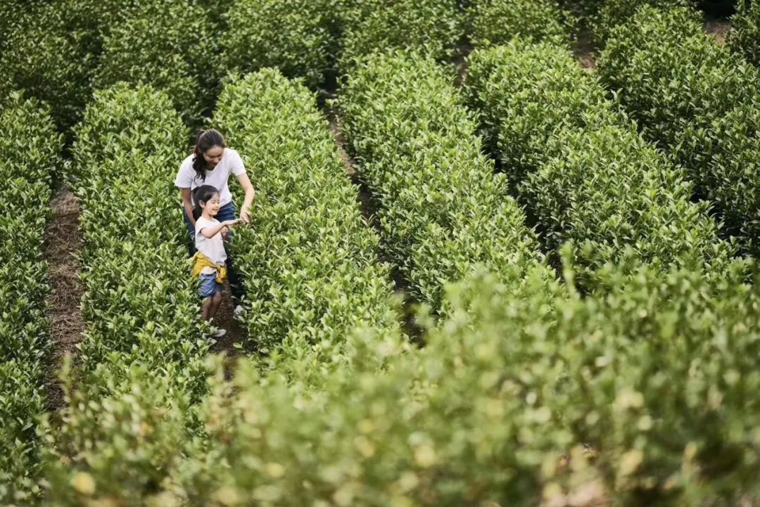 港中旅和乐小镇150万,港中旅和乐小镇88方样板房