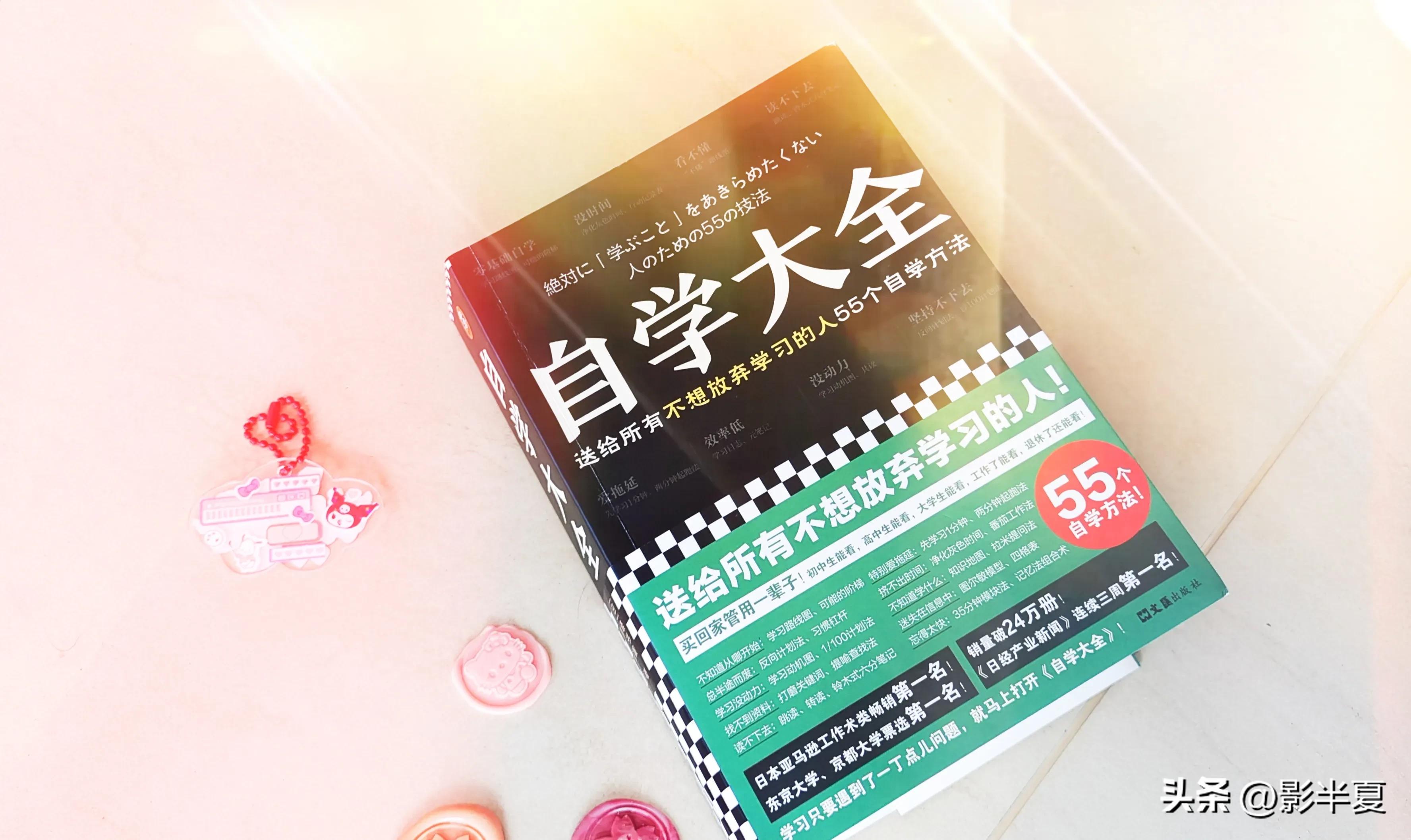 高效自学方法与技巧,自学学习方法500字