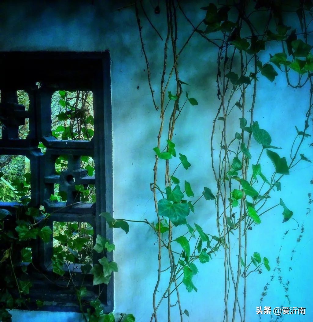 100句绝美春日诗词温柔又浪漫,微雨过小荷翻榴花开欲然