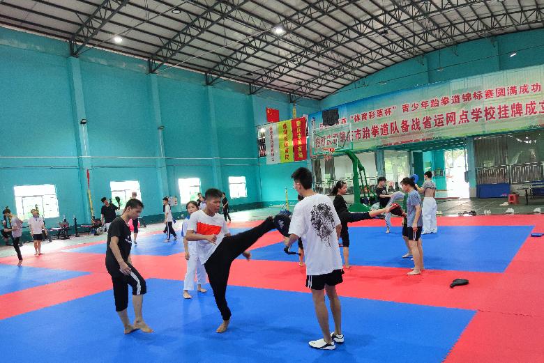 广东省龙狮锦标赛一等奖,肇庆市鼎湖方世玉龙狮团