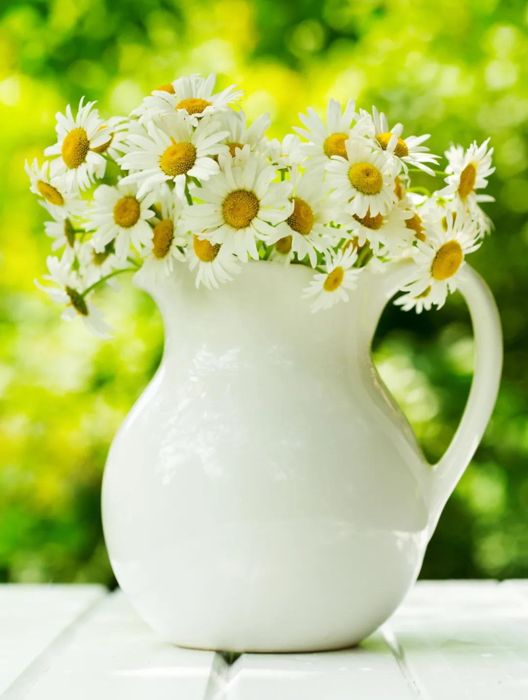 三观正比五官正更为重要,做一个三观比五官正的人