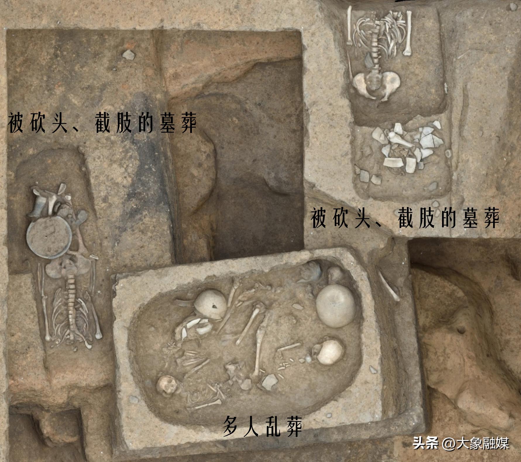 2022河南考古新发现论坛|河南偃师二里头都邑多网格式布局是进入王朝国家最重要的标志