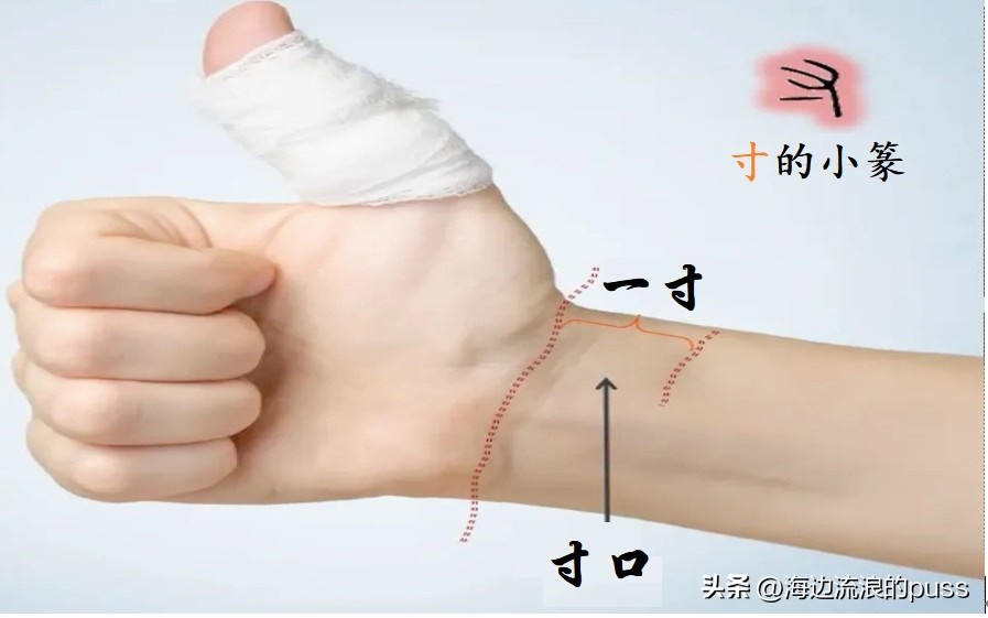 尺丈仞哪个最长,丈尺仞哪个更长