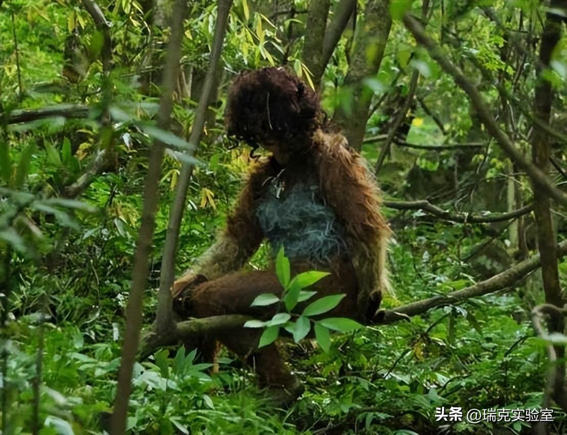 半夜搜山发现怪异生物,大鲵神秘生物