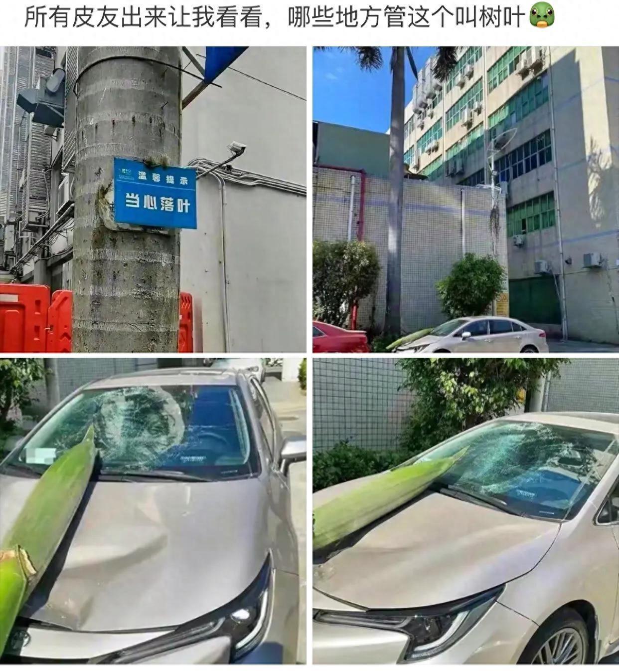 你和异性发生过最尬的事,异性面前做过最尴尬的事