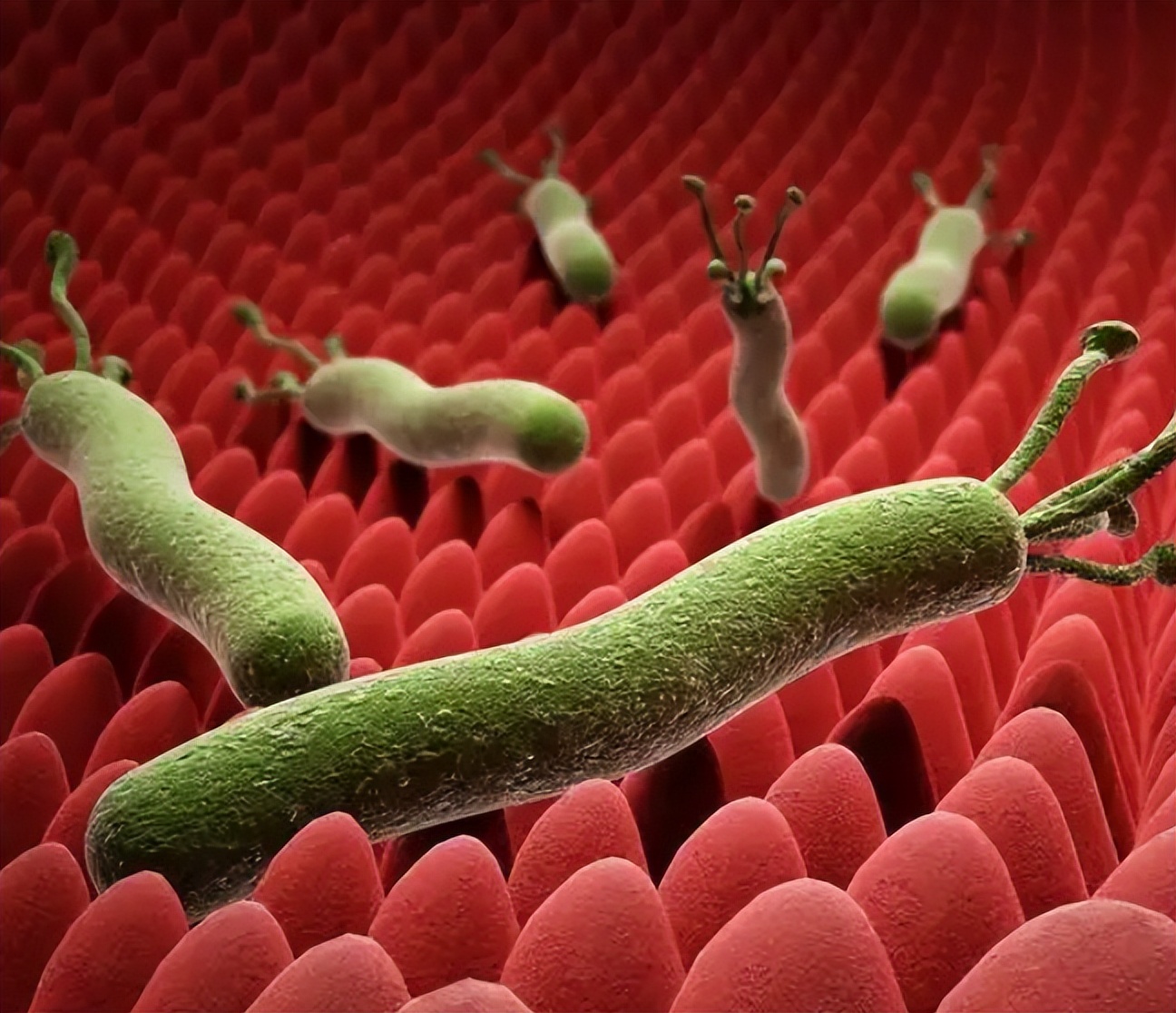 为什么不能刷牙而且嘴里有臭味,一张嘴就有臭味怎么刷牙都没用