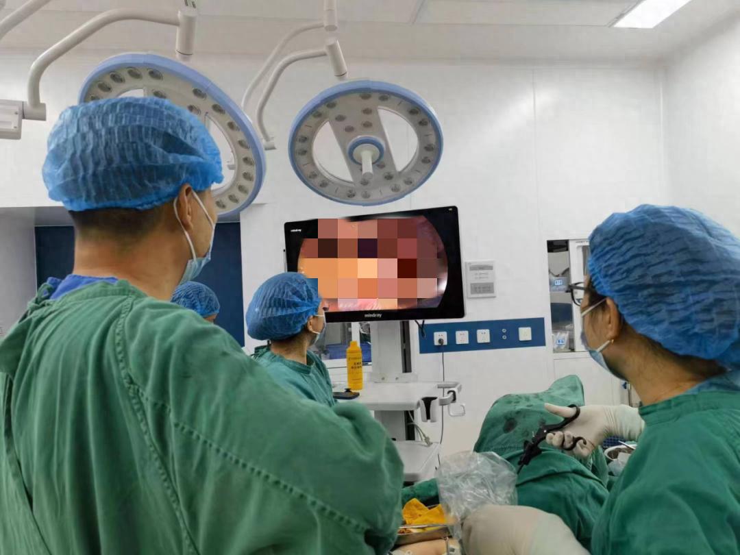 妇科微创手术成功,首例腹腔镜下骶前固定术