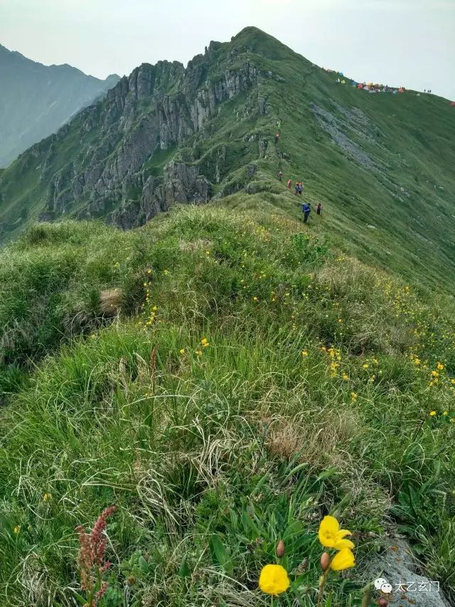 小五台山金莲花坡,小五台金莲花