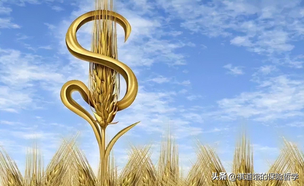 人寿保险工作价值,人寿保险能养老吗