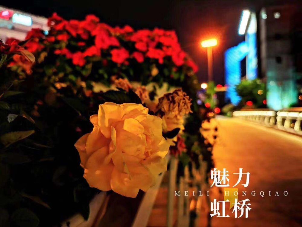 灿辉晶典1733到虹桥高铁,上海灿辉晶典1733周边交通