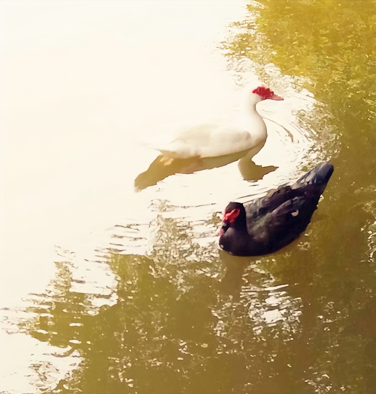 “不问东西”在东西方艺术体系里自由穿行者——记画家曾邕生