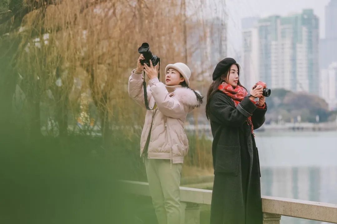 去苏州旅游哪里好玩一日游,苏州江南古镇