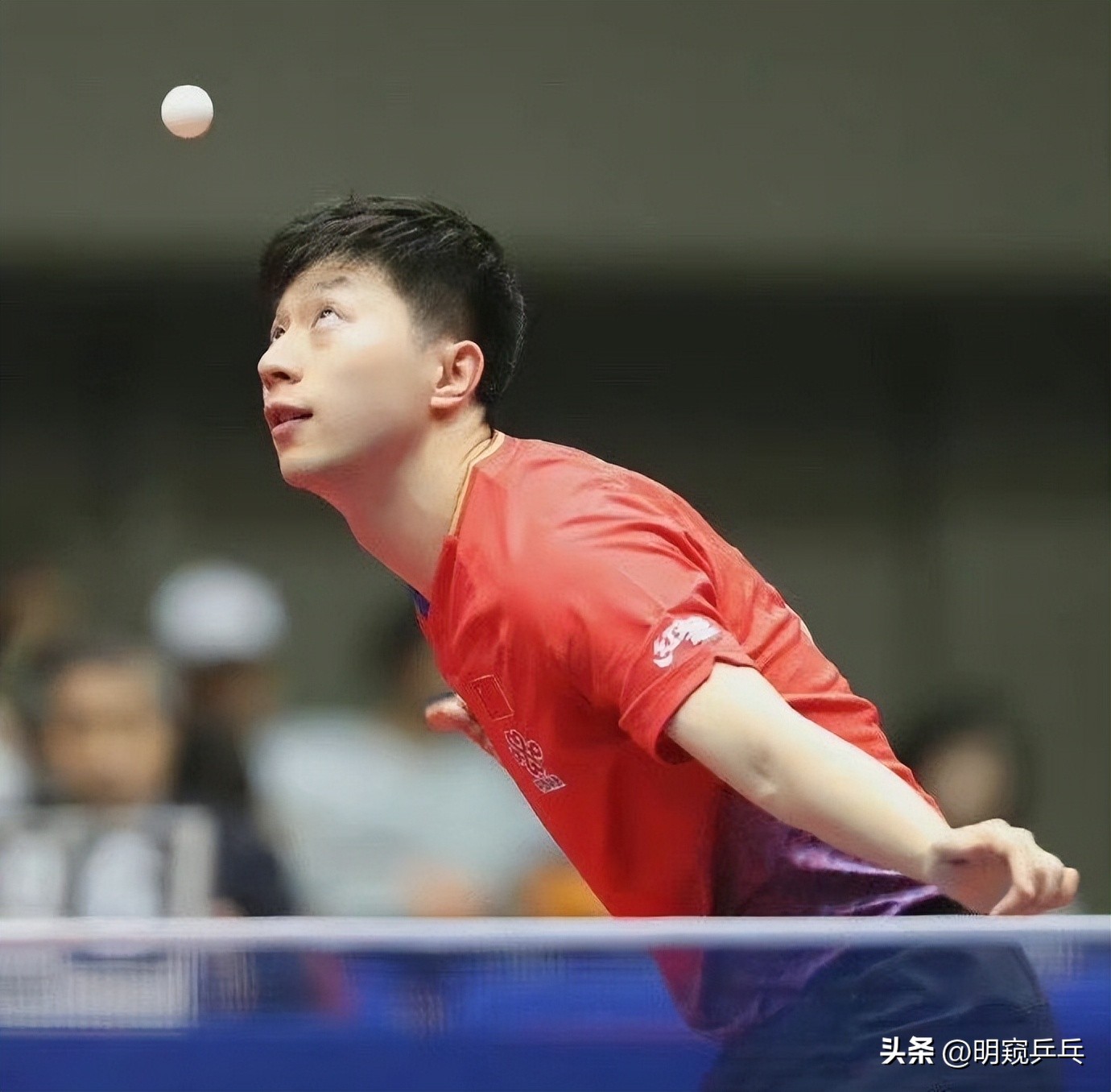 孙颖莎最新消息赢了陈梦吗,樊振东孙颖莎决赛时间