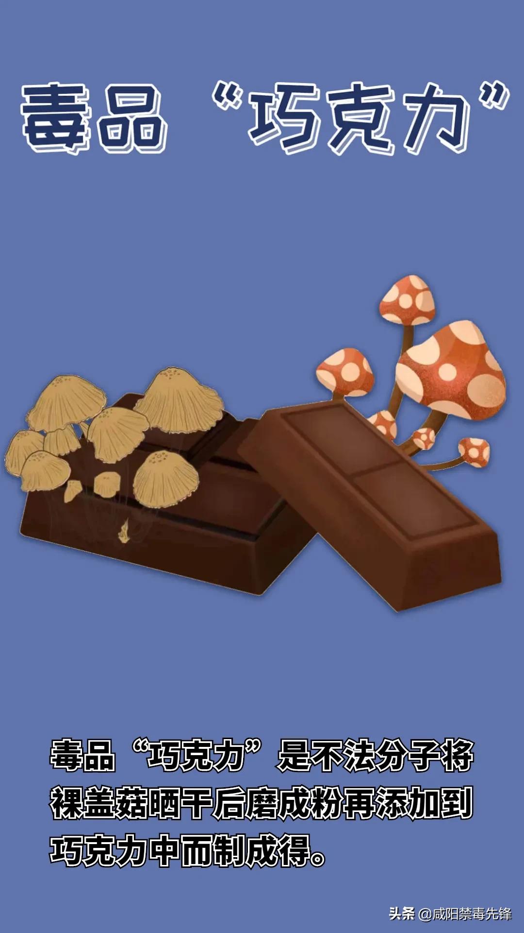 减肥药被海关查获,查获有毒减肥药