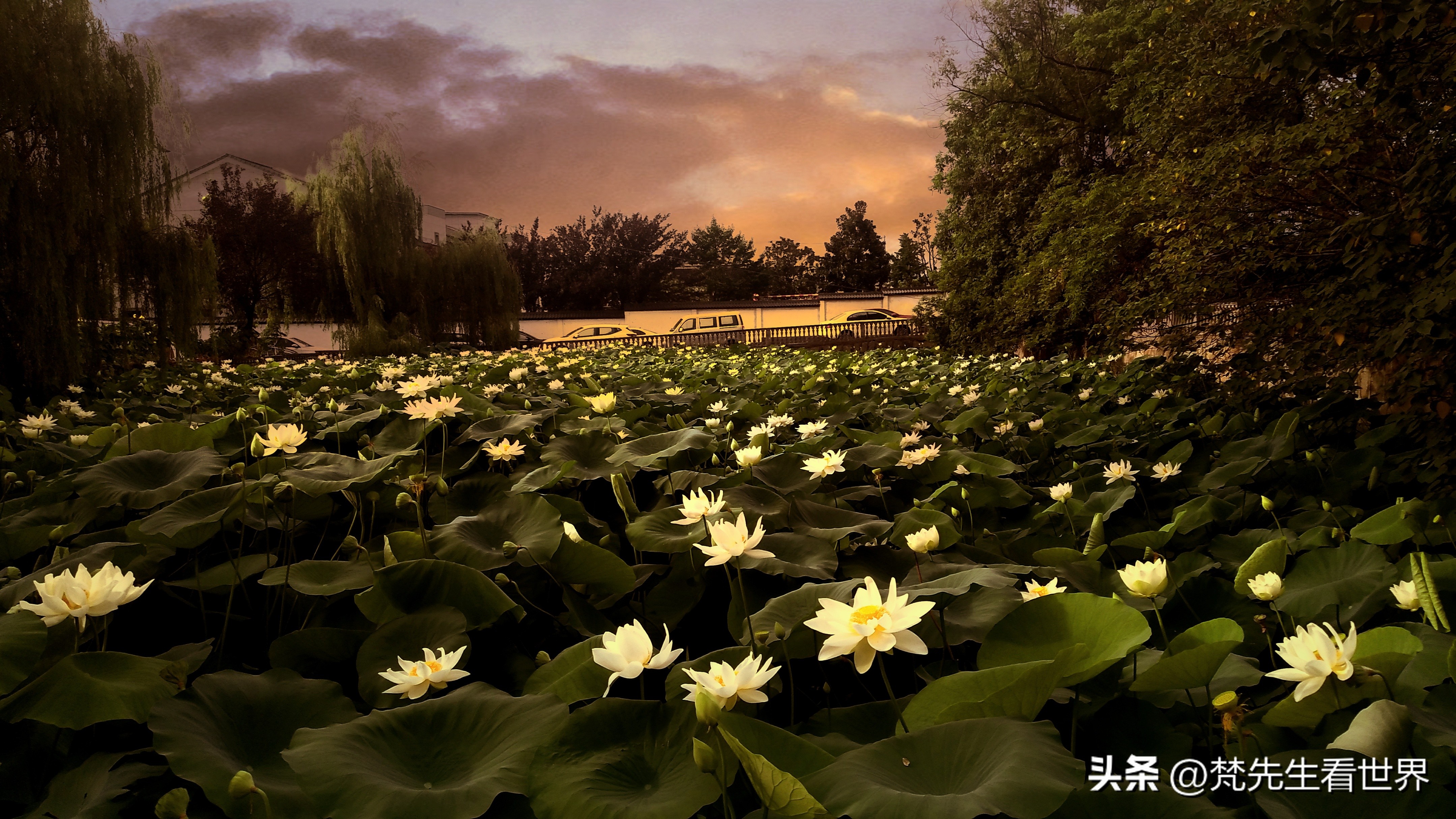 中国人压力越来越大幸福感在哪里,现代人的幸福感为什么越来越少